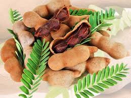 Tamarindus Indica