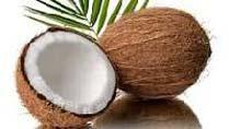 Fresh Coconut