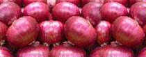 Fresh Red Onion