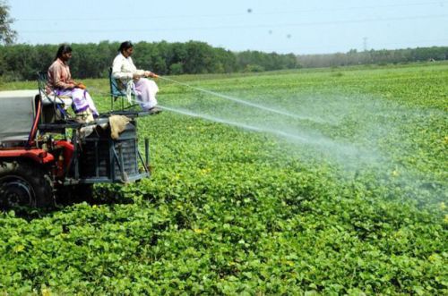 Crop Protection Services