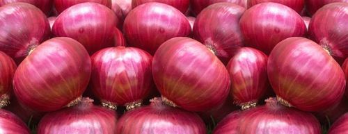 Organic Fresh Onion, For Cooking