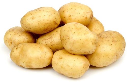 Organic Fresh Potato, For Cooking, Feature : Early Maturing, Floury Texture, Good In Taste, Healthy