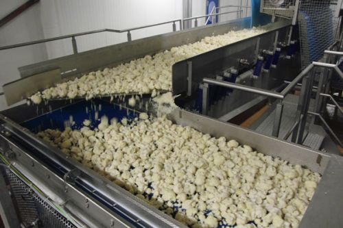 Hygenic Food Grade Conveyor Belting