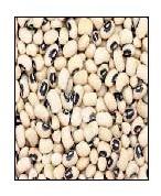 Black Eyed Beans