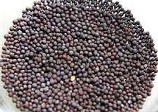 Black Mustard Seeds