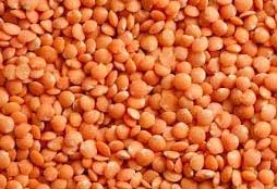 Red Lentils