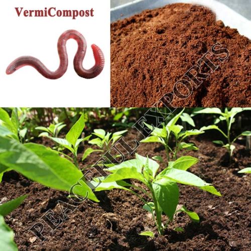 Vermicompost, Material : cow dung, kitchen waste and agricultural waste