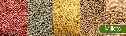 Millet Seeds