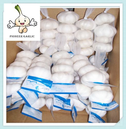 Chinese Fresh White Garlic New Crop Natural Normal White Garlic