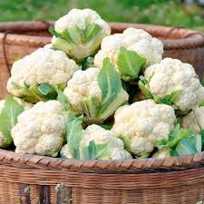 Fresh Cauliflower