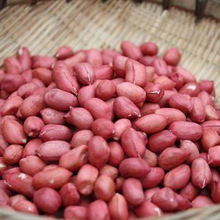 Peanut, Grade : top grade