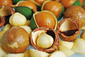 Macadamia nuts