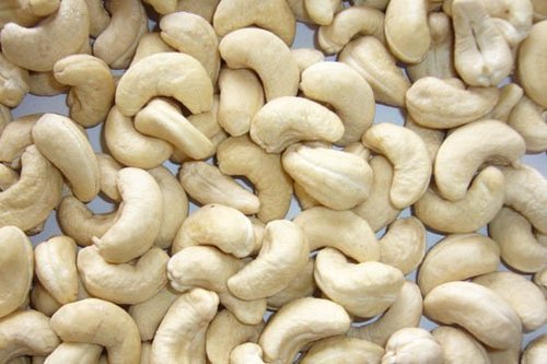 Cashew Nuts, Certification : PHYTOSANITORY
