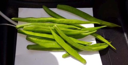 Organic Fresh Green Beans, For Cooking, Feature : Good For Health, Non Harmful
