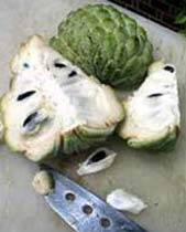 Fresh Custard Apple