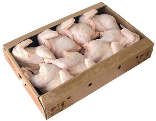 Halal Whole Frozen Chicken, Packaging Type : 10kg Cartons