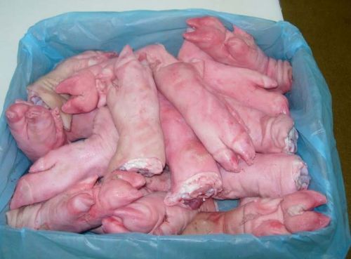 Frozen Pork Feet, Grade : A, Packaging Type : 20kg Carton