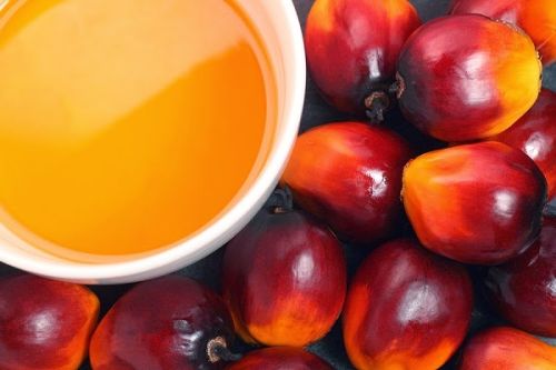 Crude Palm Oil For Sale