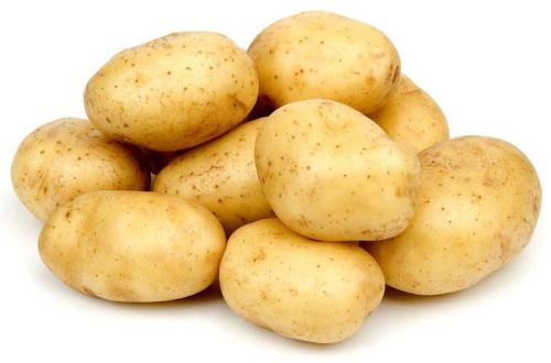 Fresh potato, Packaging Size : 5-25kg