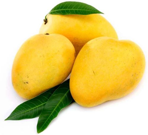 Fresh Mango,fresh Mango