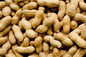 Shelled Peanuts, Country of Origin : India