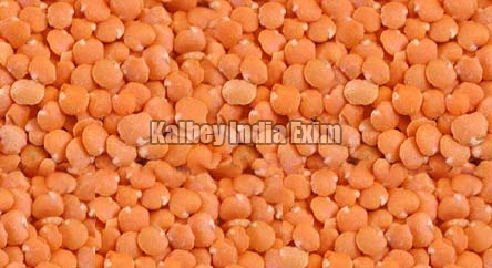 Red Lentils