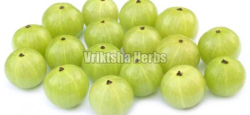 Fresh Amla, Application : Human Consumption