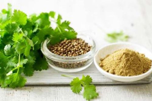Coriander seeds, Grade Standard : Food Grade