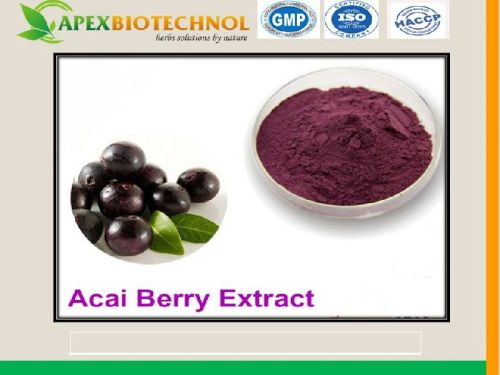 Apex Biotechnol Acai Berry Extract, Packaging Type : 5 Kg