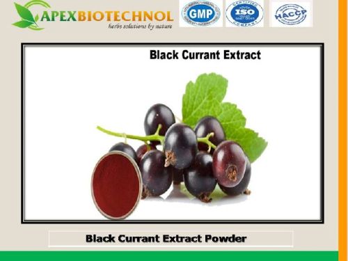 Apex Biotechnol Black Current Extract, Grade : Food