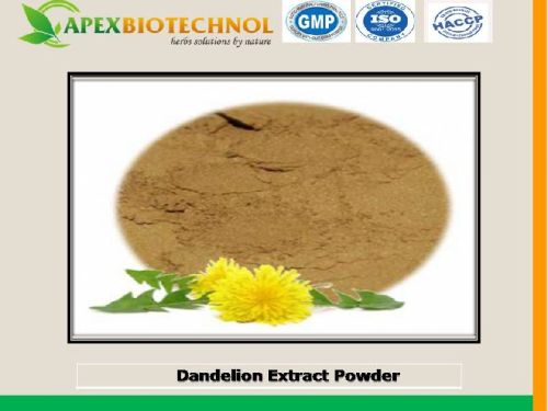 Apex Biotechnol Dandelion Extract, Grade : Food