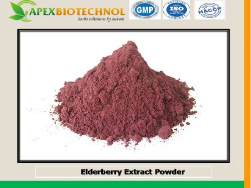 Apex Biotechnol Elder Berry Extract, Packaging Type : 25 Kg Food Grade HDPE Drum