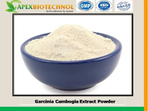 Apex Biotechnol Garcinia Cambogia Extract, Purity : 70%