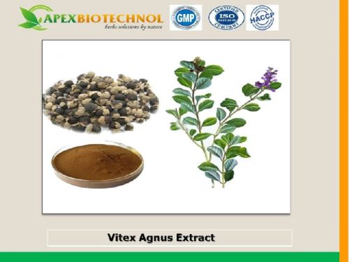 Apex Biotechnol Vitex Agnus Extract, Grade : Food Grade