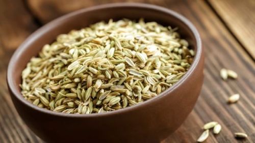 Fennel seeds, Cultivation Type : Natural