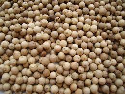 White Pepper Seeds Form : Seeds