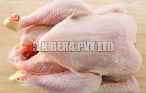 Frozen Chicken, Type : Poultry