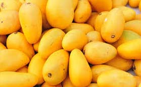 Fresh Alphonso Mango