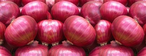 Fresh red onion For Cooking