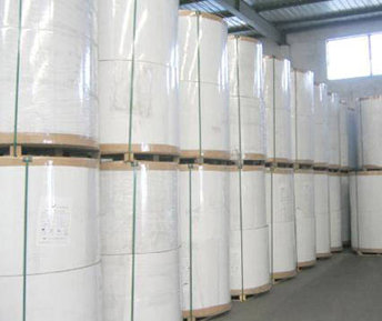 Certifcated Thermal Paper Jumbo Rolls