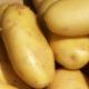 Fresh potato, Brand Name : Foodex, Certification : ISO 9001