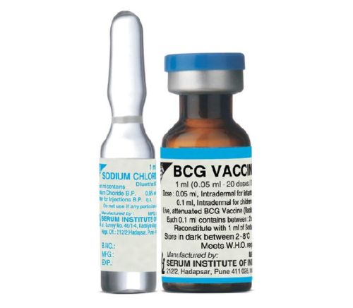 Bcg Vaccine