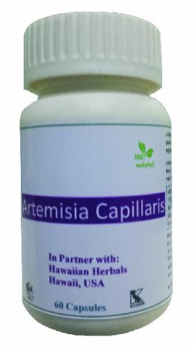 Hawaiian Herbal Artemisia Capillaris Capsules