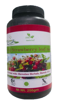 Herbal Wild Strawberry Leaf Tea