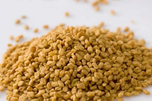 Fenugreek Seed