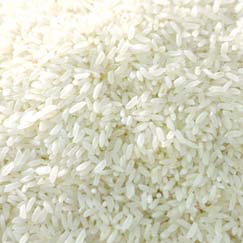 Kolam Rice