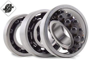 Hybrid Bearings