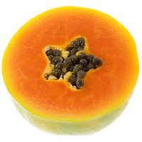 Common Carica Papaya Extract, Shelf Life : 1Month, 3Months