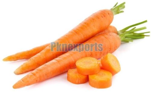 Fresh Carrot