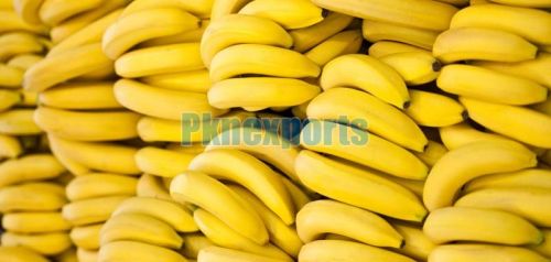 Organic Banana